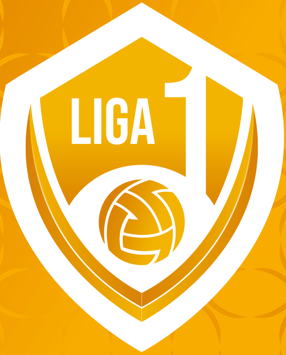 Liga 1 (Faza 1)